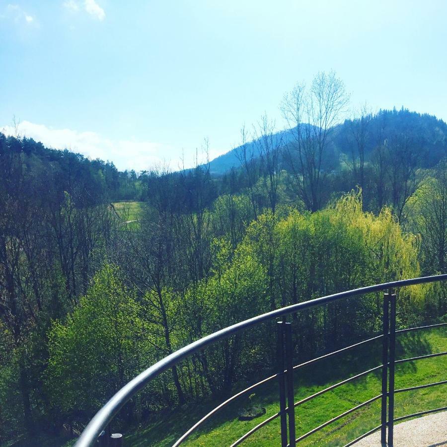 Zagorzanka Pensjonat Rehabilitacyjno-Rekreacyjny Sis Dziadkowiec - Spolka Jawna Mszana Dolna Esterno foto